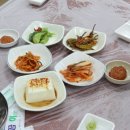 숲속의바다