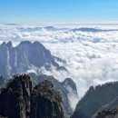 수원-0637 이미지