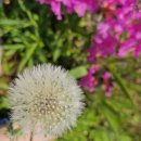 힐링요양병원 이미지