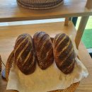 더이스트씨하우스 이미지