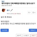 돼지국밥이 진짜 뼈해장국한테도 밀리나요?? 이미지