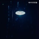 데이지리빙텔