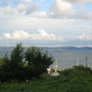 신항만도로 이미지