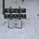 항구목장 이미지