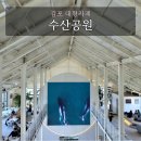 바다와고래 | 김포 수산공원 바다와 고래컨셉 대형카페 이용 주차 및 몬스터리움 정보