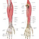 이유한의원 이미지