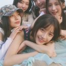 힛지스 카카오 검색결과