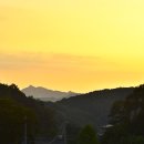 인연생기(因緣生起) 이미지