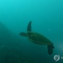 바다 - 기장군 이천길 21 | 바다
