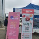 강서구 장애인단체 총연합회 이미지