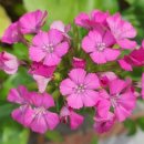 제연종합정비 이미지