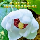 행복한하루 이미지