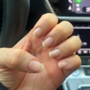 식물원로 | 부산 금정구 디엠네일 봄네일 추천 당일예약 가능한 프라이빗 네일샵 치크네일후기