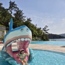 남해로뎀지역아동센터 | 거제 벨버디어 한화리조트 수영장 워터파크 바운스 키즈카페 오션뷰 거제숙소추천