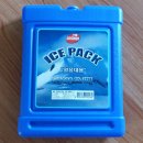 채홍일 카페-ICE PACK-아이스팩 크기규격, 아이스탱크, 아이스박스 각얼음대용 2개 구매 이미지
