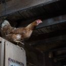 병세농장 이미지