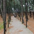 흙과나무의파도소리 이미지