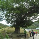 가교2리경로당 이미지