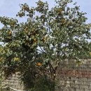 미소주야간보호센터 이미지