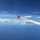 싱가포르 창이공항 4터미널 바샤커피 헤븐리 왕 카야토스트 맛집 / 바샤커피 가격비교