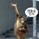 서울깍두기양산