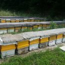 아버지농장 이미지