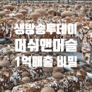 기능성머쉬 | [생방송투데이] 버섯 키우는 근육맨 ‘머쉬앤머슬’ 1억 매출 비결 총정리!