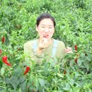 피나무골 소공원 이미지