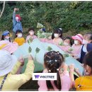 대죽도 유아숲체험원 이미지