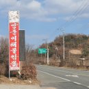 큰손양푼이짬뽕