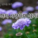 3월 16일(월) 끝까지 사랑하며 섬기라. 이미지