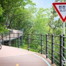 (주)강촌레일파크 이미지