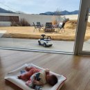 솔언덕펜션 | 대전 근교 키즈풀빌라 독채 펜션 옥천 구공스테이 (온수풀, 정글짐)