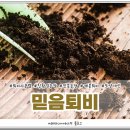 믿음농장2 네이버블로그