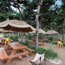 용산-현장-601 이미지