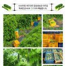 여주-1100 이미지