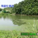 목골소류지 Daum카페