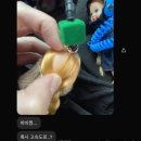 뱅 인형카페 이미지