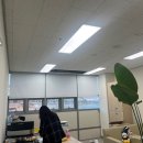 하이클린