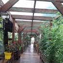 낙원어린이집 이미지