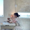 이브 스튜디오 네이버블로그