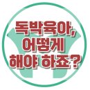 노동농민상담소 | [독박육아, 어떻게 해야 하죠?] - 한국아동청소년심리상담센터