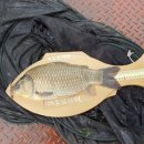 대요낚시터 이미지