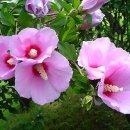 (주)눈뫼 이미지