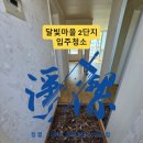 화중로 | 화정동 입주청소 달빛마을라이프2단지, 장판 먼지부터 주방 탈거까지