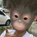 크로스핏 타임 이미지