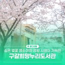 용인-구갈-구갈1 | 기흥구 숨은 용인 벚꽃명소,구갈희망누리도서관 산책 후기