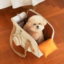 어썸펫 동물병원 | 어디서든 돋보이는 디자인, 몽모아티 어썸백 베이지로 완성하는 펫테리어 외출