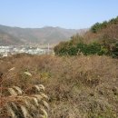 남해-165 이미지