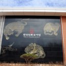 한국민화교육협회